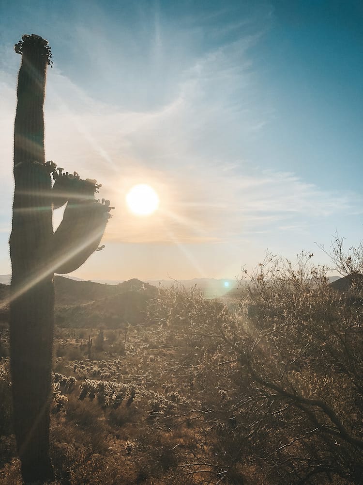 The 10 Best Hikes in Phoenix Travel by Brit