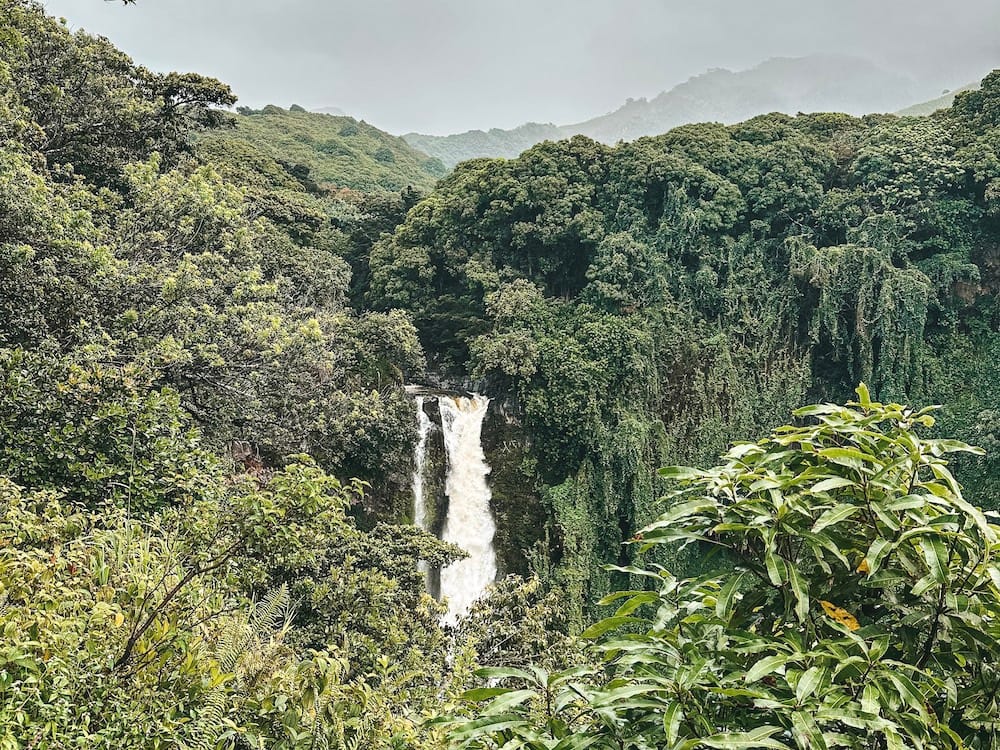 A waterfall cascades over a cliff with tons of greenery surrounding the waterfall.
