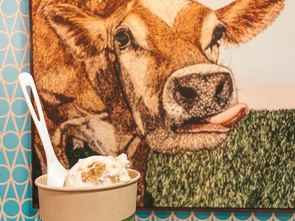 A cup of ice cream in front of a painted picture of a cow that is sticking its tongue out.