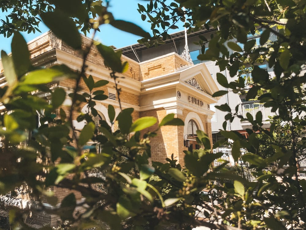 A historic tan brick building hiding behind the leaves of a tree at the Pearl in San Antonio