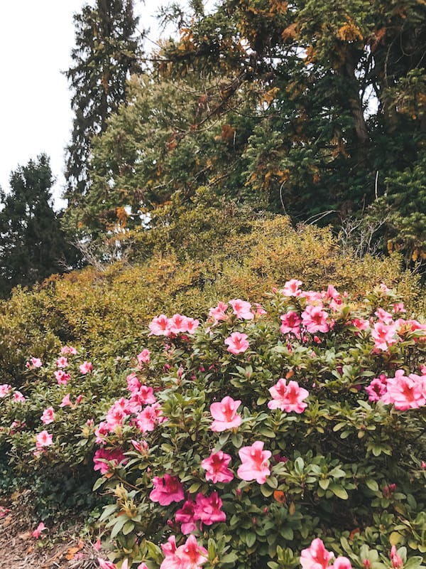 Azalea Garden at the Biltmore Gardens - Travel by Brit