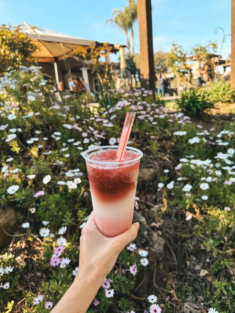 A wine slushy being held in front of a bush with purple and white flowers 
