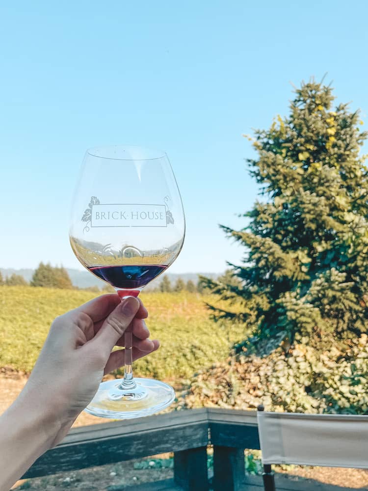 Someone holding a glass of red wine overlooking a vineyard.