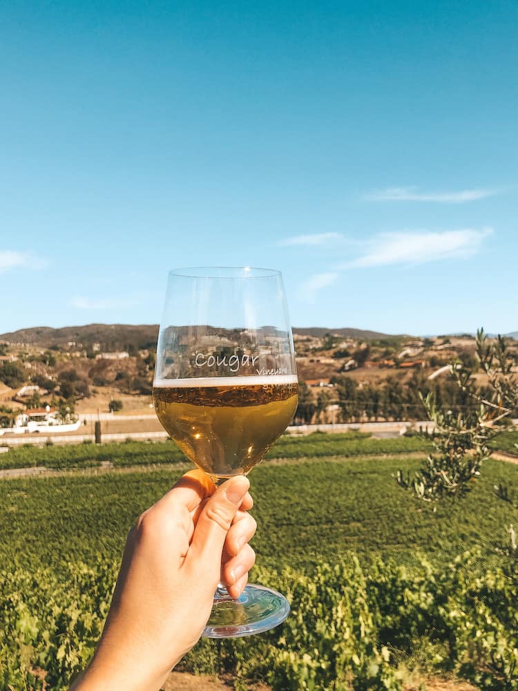 A glass of white wine being held in front of a lush green vineyards with mountains and a blue sky in the background.