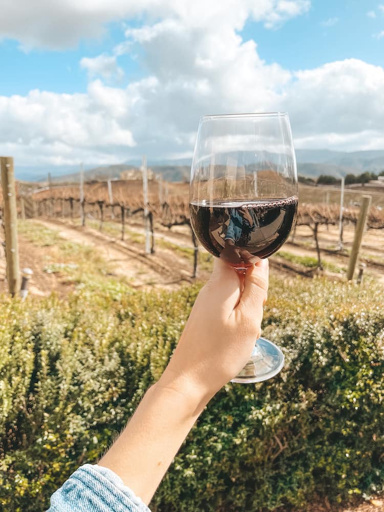 A glass of red wine being held in front of a vineyard at one of the best wineries in Temecula