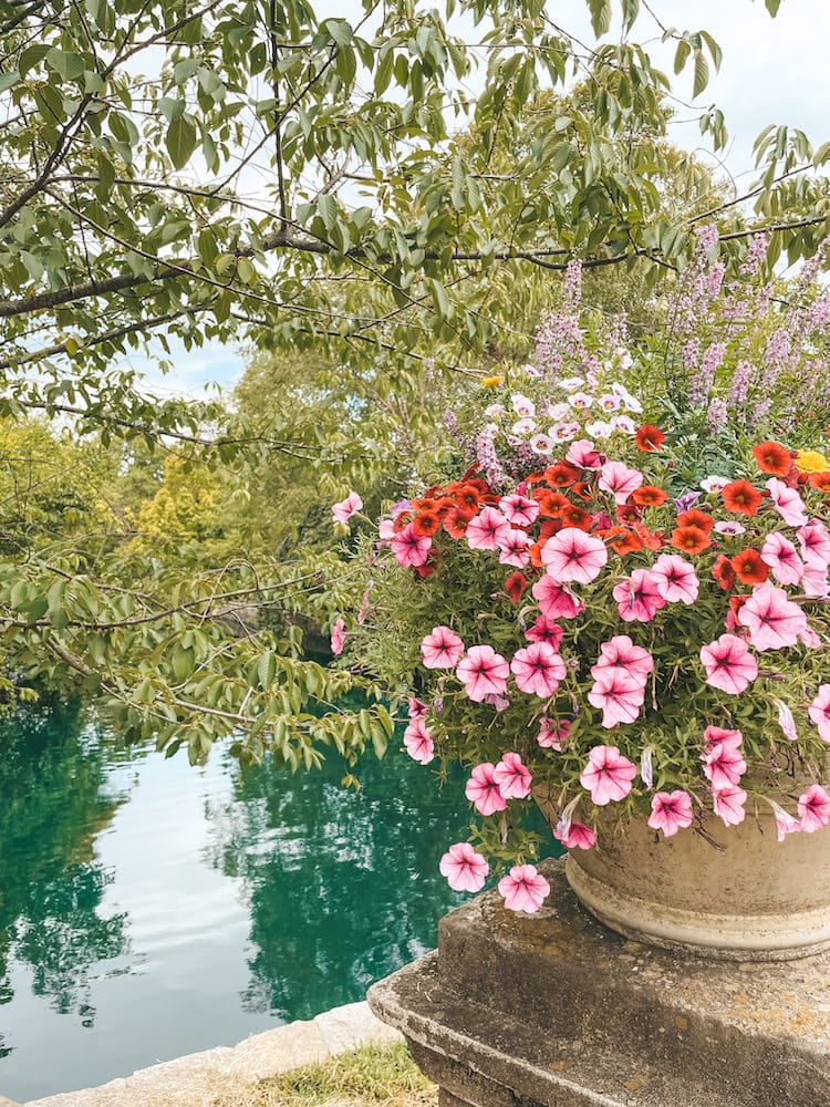 Colorful pink flowers, trees, and blue water from the lake in Centennial Park Nashville