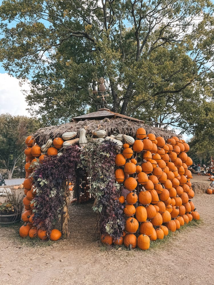 One of the pumpkin houses at Cheekwood Estate during the fall in Nashville