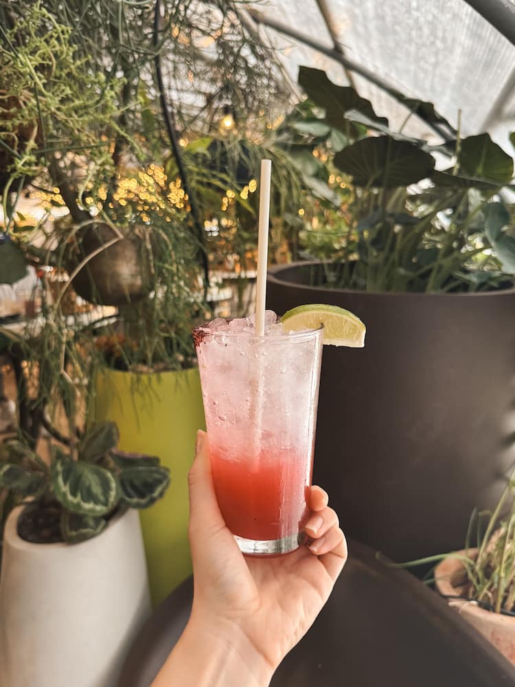 A mocktail inside the greenhouse at The Greenhouse Bar