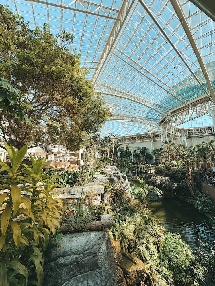 The lush green interior of The Gaylord Hotel