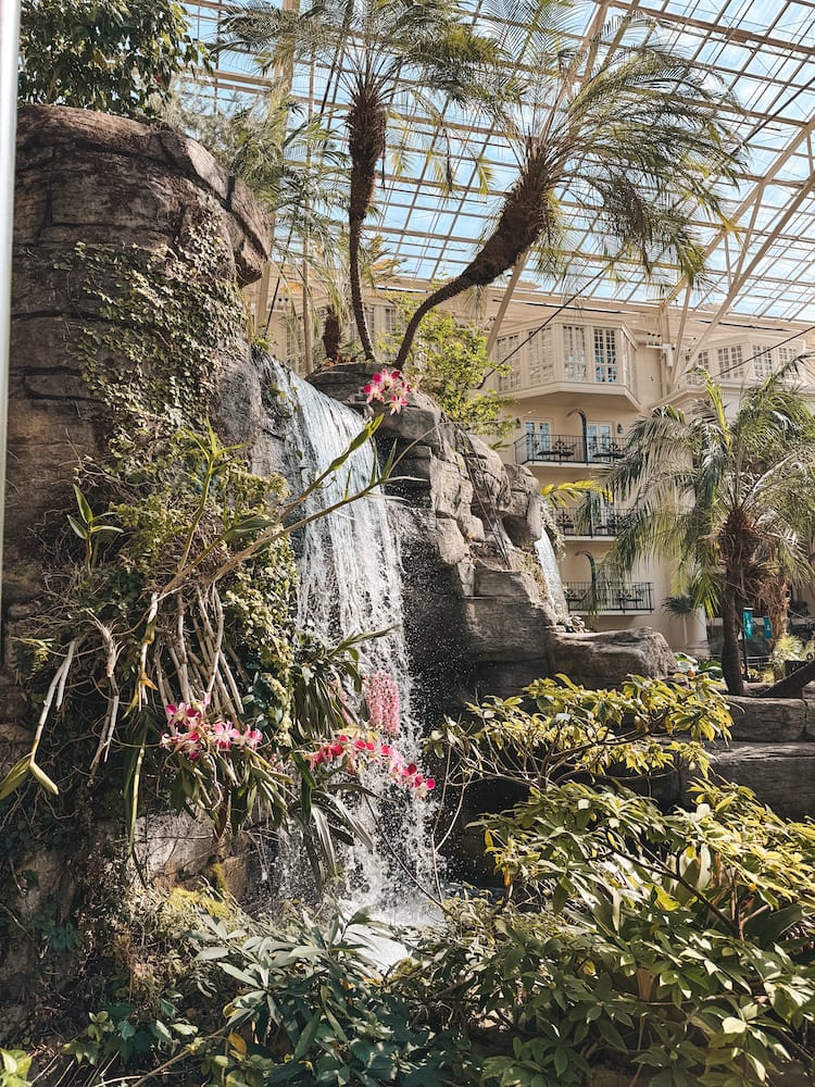 The lush green interior and waterfall inside The Gaylord Opryland Hotel
