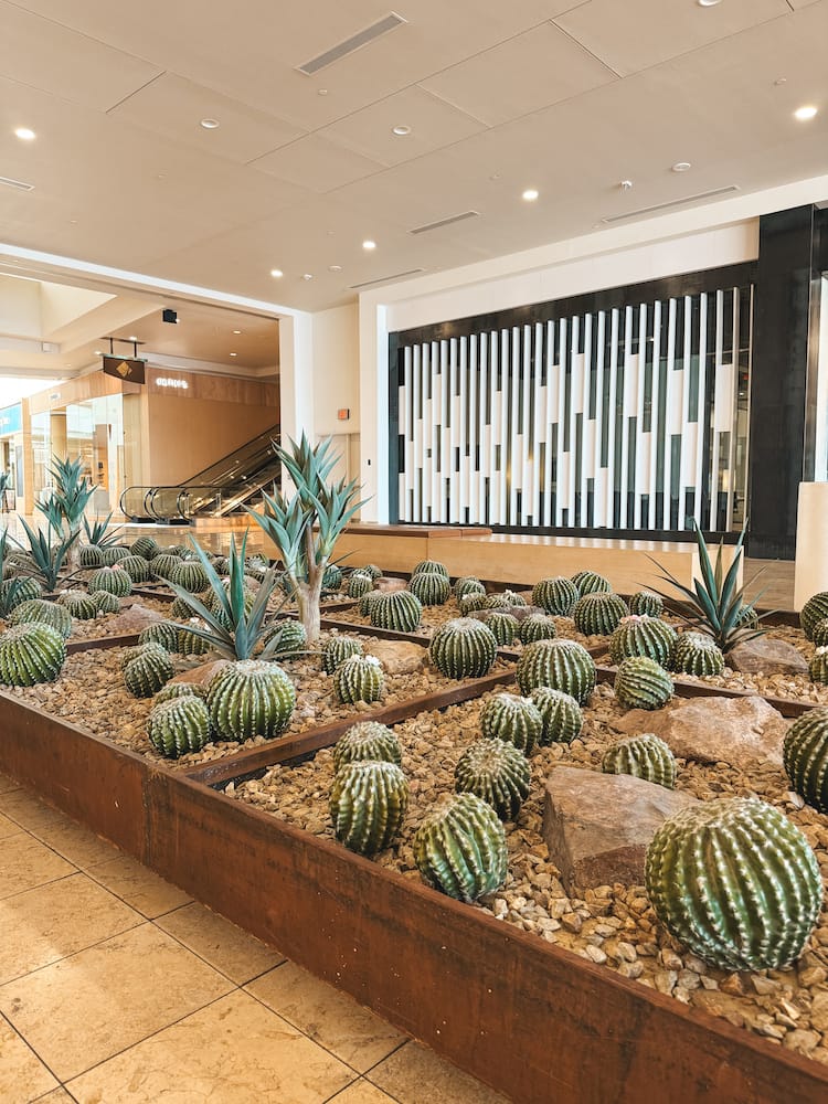 A plantar box filled with rocks and cacti inside Scottsdale Fashion Square Mall.