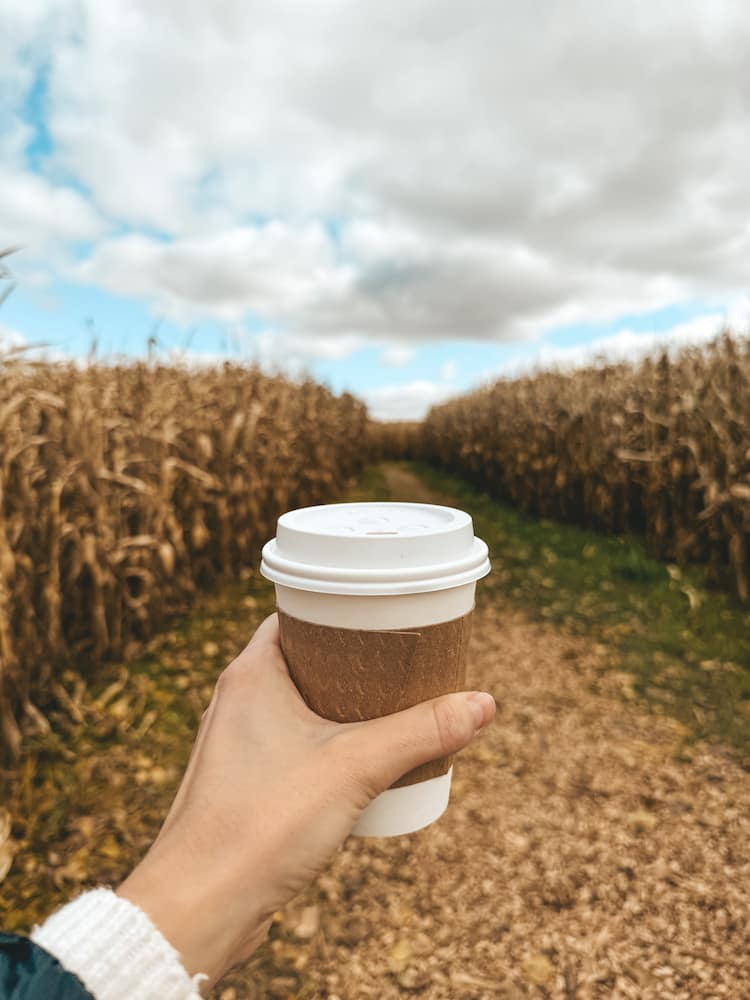A hot disposable cup is being held in a corn maze in the Finger Lakes during a fall festival in October.