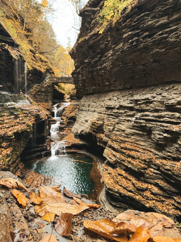 A waterfall on the Watkins Glen Gorge Trail in a narrow gorge surrounded with fall leaves.
