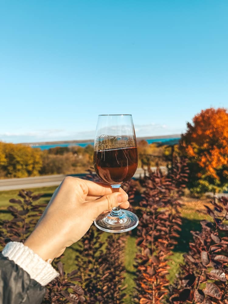 A glass of red wine being held up in front of vibrant fall foliage and a bright blue lake and clear blue sky.