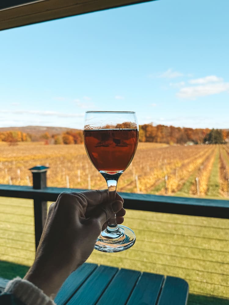 A glass of red wine being held up in front of the vineyards at fall foliage at Stever Hill Vineyards in the Finger Lakes