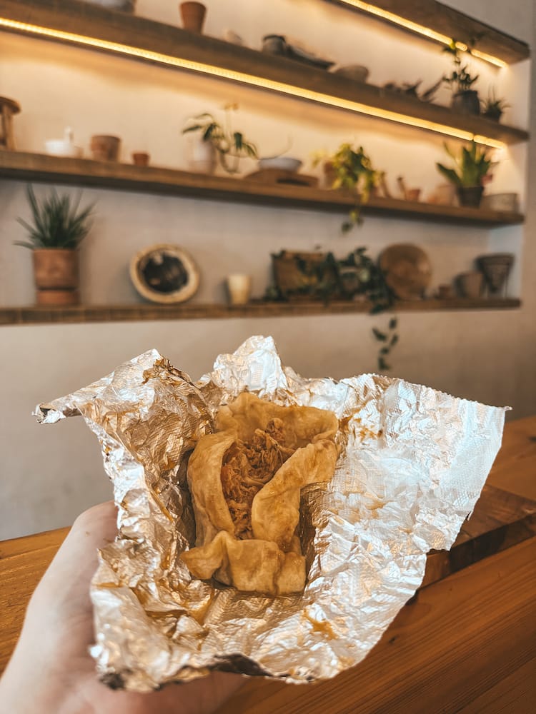 A street taco sitting inside a foil wrapper in front of a wall with floating shelves housing plants and succulents at Ladybird Taco.