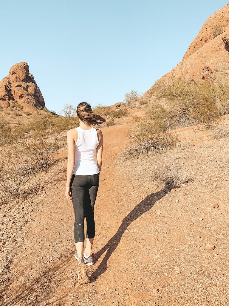 The Best Hikes in Phoenix - Double Butte Loop Trail - McDowell Sonoran Preserve