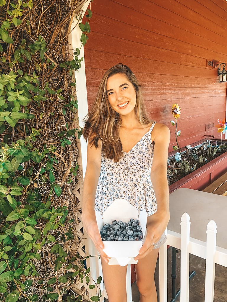 Best Things to Do in Temecula - Temecula Berry Co. Blueberry Picking - Travel by Brit