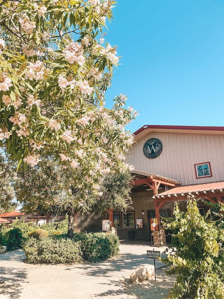 Wiens Cellars in Temecula, one of the best wineries in Temecula.