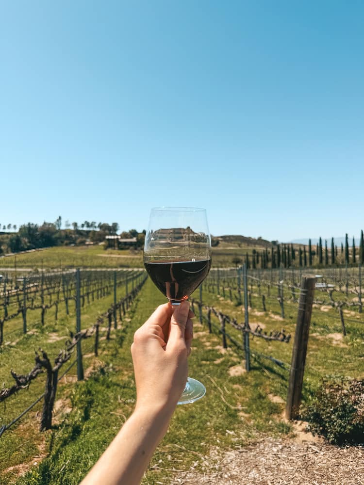 A glass of red wine in front of a vineyard
