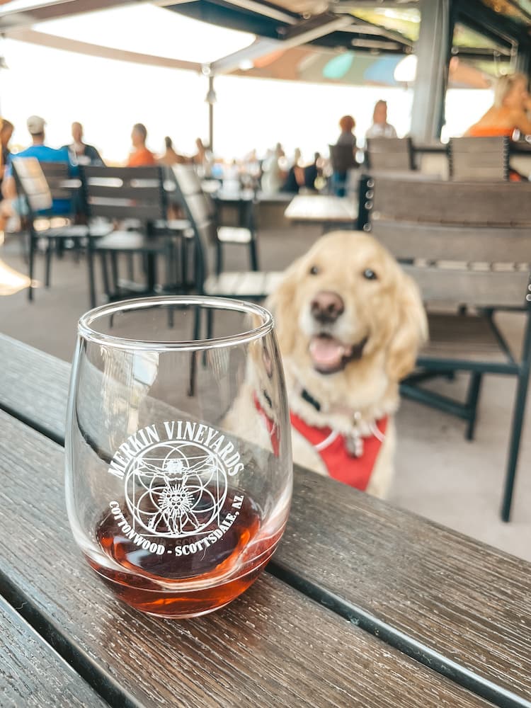 A glass of red wine sitting on a wooden table at a restaurant in Old Town Cottonwood with a golden retriever in the background.