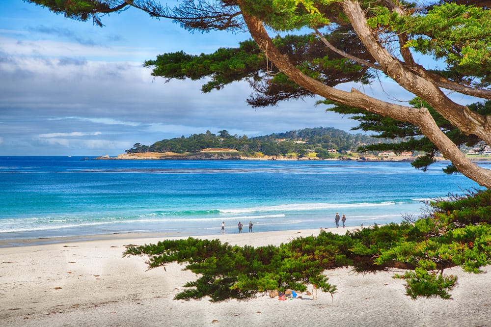 Bright blue waves on a white-sand beach with lush greenery all around.