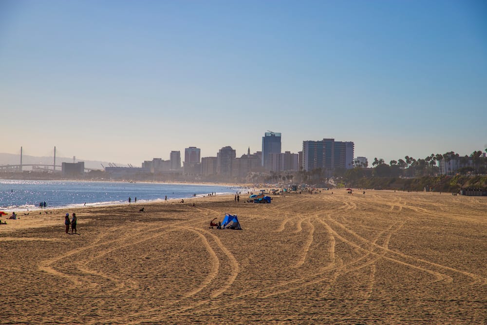 A golden-sand beach with several people and dogs on it and buildings in the background against the skyline