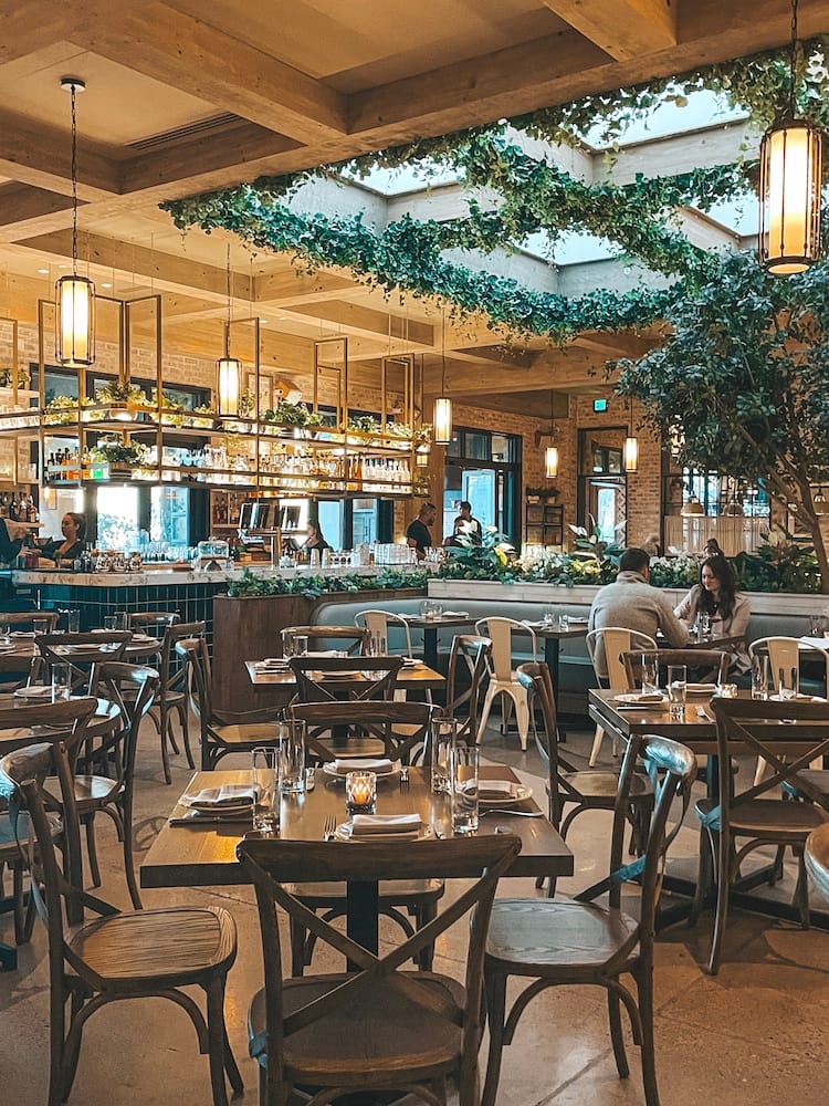 A restaurant with wooden tables, a bar, high ceilings, and greenery on the ceiling in the Scottsdale Quarter