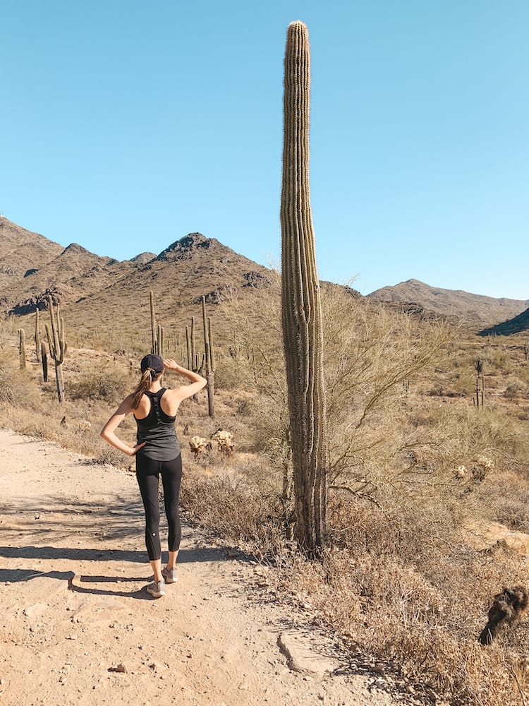 A woman wearing a grey tank top and black leggings standing in front of a Saguaro cactus and desert mountains on a hiking trail in Scottsdale