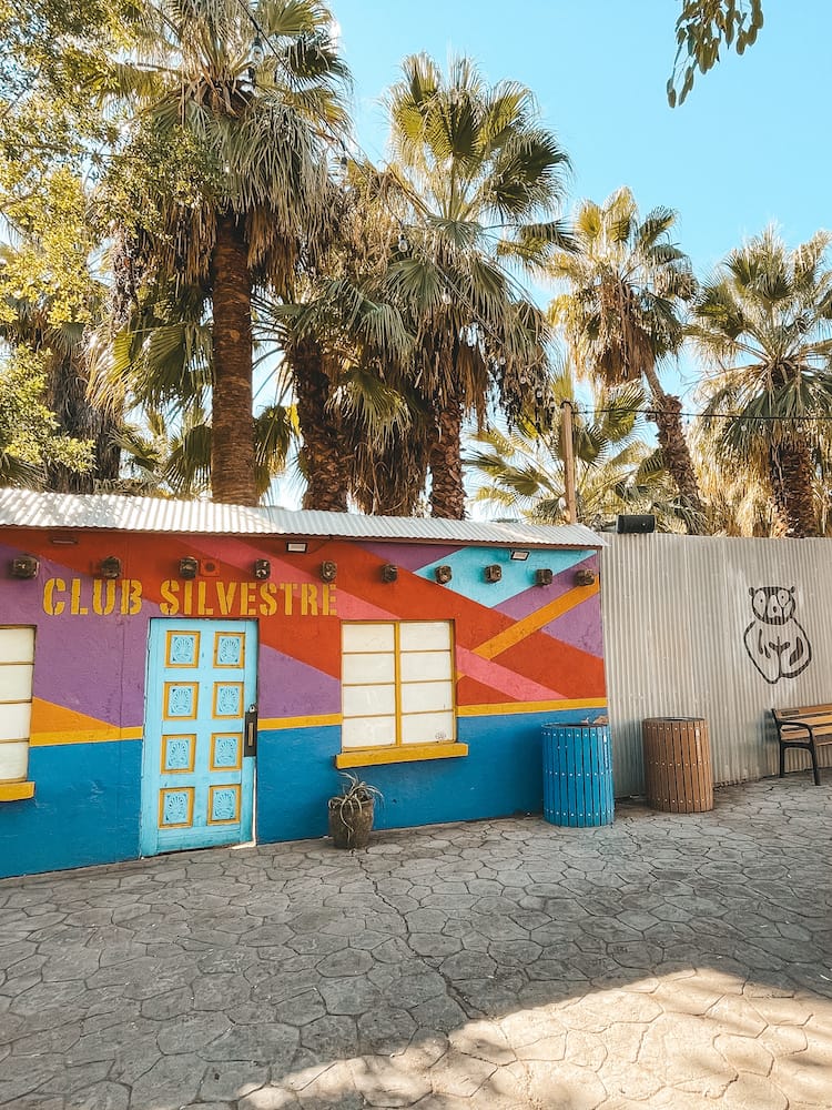 A colorful building painted red, blue, pink, purple, and yellow at the Phoenix Zoo with palm trees in the background.