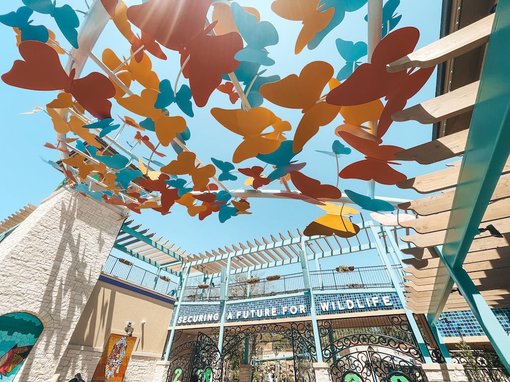 A colorful archway of artificial yellow, blue, and red butterflies over the San Antonio Zoo. The entrance is a blue tiled archway that reads "Securing a Future for Wildlife."