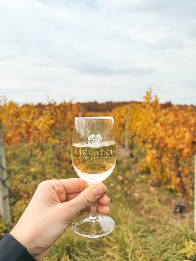 A glass of white wine in front of a vineyard with lush fall foliage in the Finger Lakes