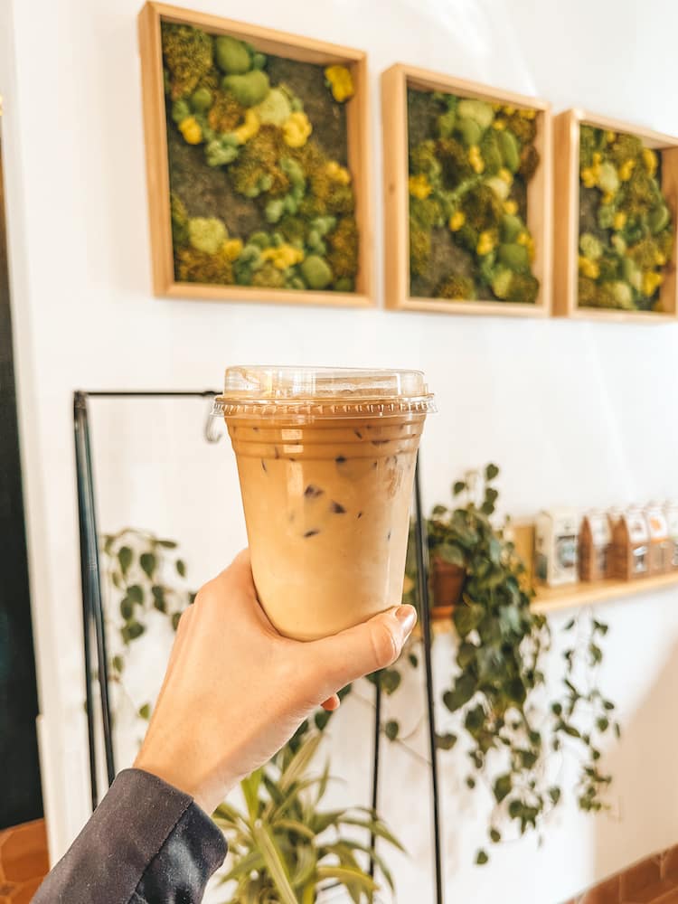 An iced coffee in front of a wall of greenery at Botanist Coffeehouse, one of the best places to eat in Ithaca