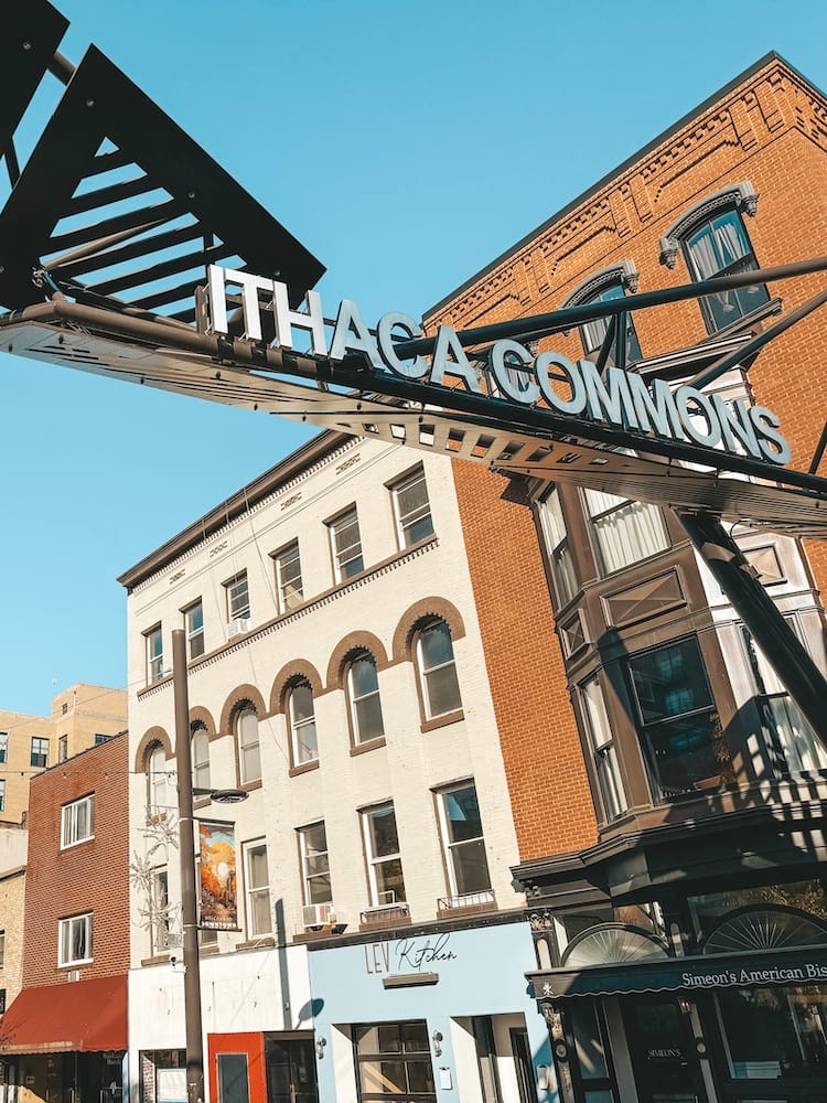 The Ithaca Commons in Downtown Ithaca