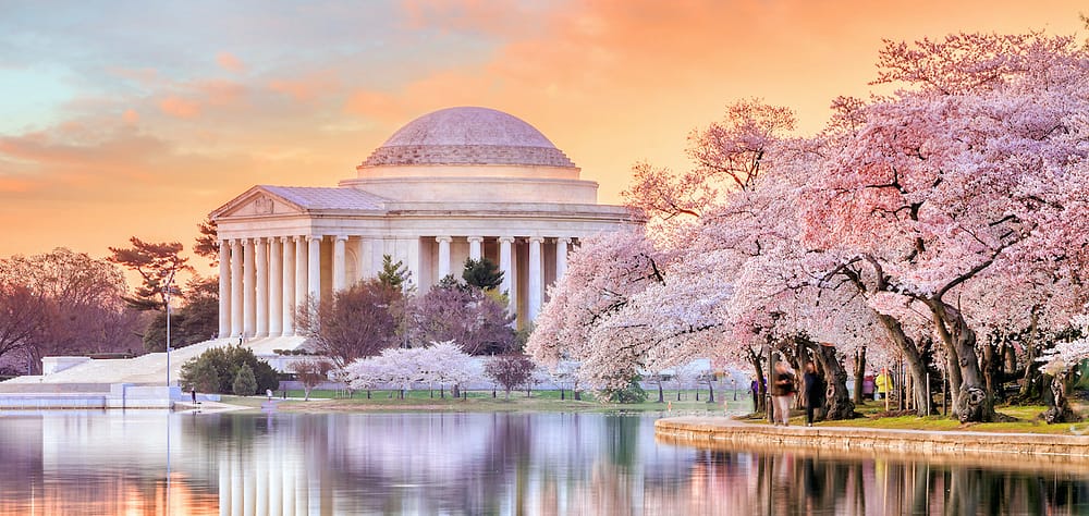 The Jefferson Memorial at sunset with the cherry blossoms in bloom framing the memorial and reflecting in the water