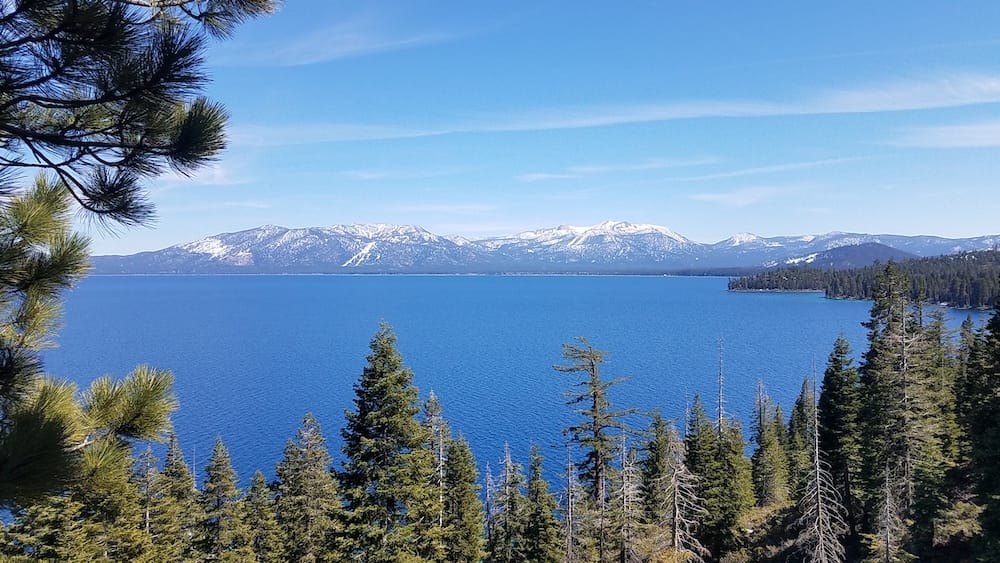 A view of the blue water of Lake Tahoe with green trees in the foreground and snowy mountains in the background.