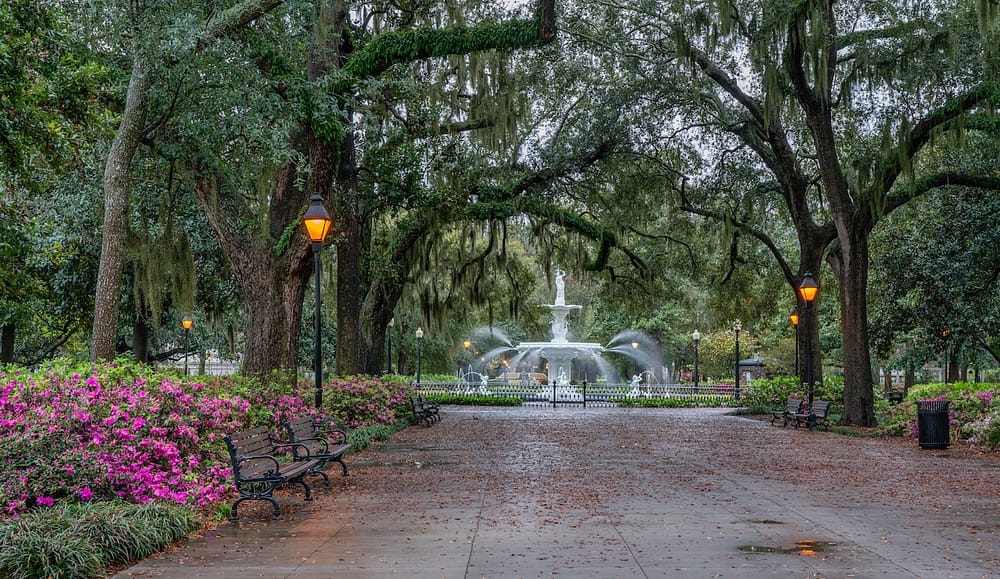 Forsyth Park in March with the pink azaleas in bloom in front of the fountain in Forsyth Park and mossy oaks in the Park.