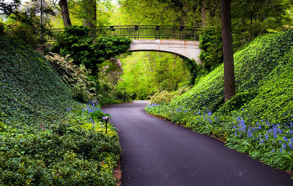A lush green garden with a bridge running through it and a road In Wilmington.
