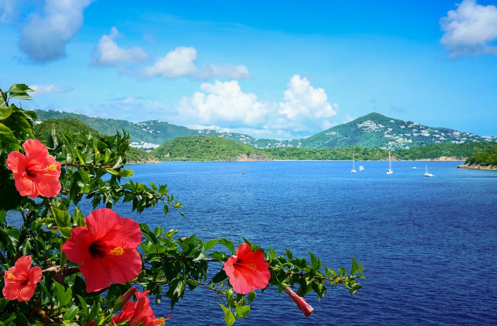 Beautiful tropical ocean waters with green hills in the background and red hibiscus flowers in the foreground.