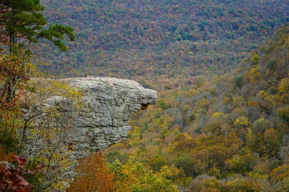 A rocky cliff overlooking gorgeous green red, orange, and yellow trees and fall foliage in the Ozark Mountains.