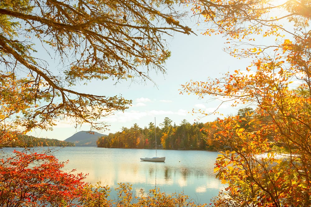 Beautiful fall leaves with a sailboat on the Long Pond in the Acadia National Park, Maine.