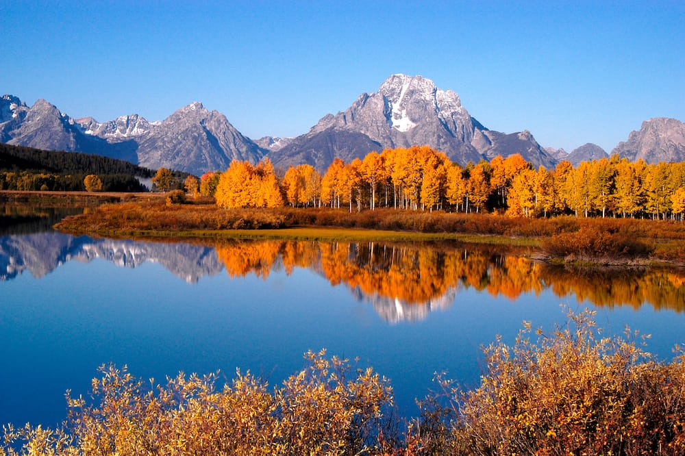 A glassy lake with yellow trees and mountains in the background in Jackson Hole.