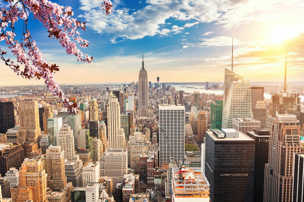 The New York City Skyline with a cherry blossom in the foreground