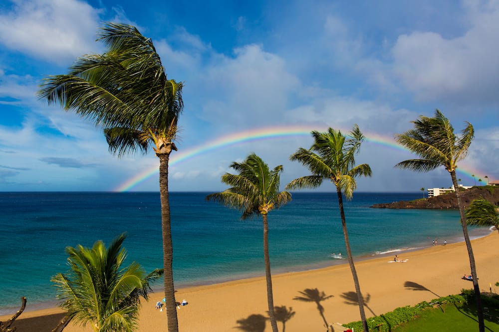 Several palm trees overlooking Ka'anapali Beach with a rainbow overarching the sky. 