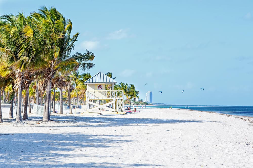 A white-sand beach in Miami with a lifeguard station and green palm trees in the background.