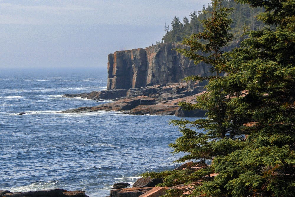 A view of the rocky cliffs along the ocean surrounded by green trees in Acadia National Park.