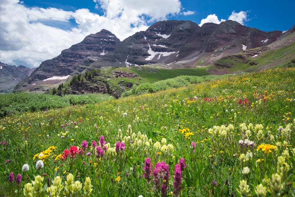 A mountain terrain against a blue sky in Aspen, Colorado, with pink, yellow, and while wildflowers in the foreground.