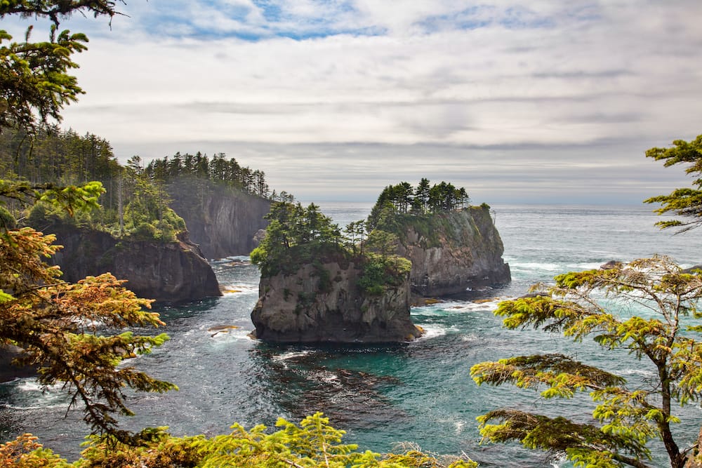 Large stone formations sitting in the ocean with lush greenery growing on the top of them in Olympic National Park.