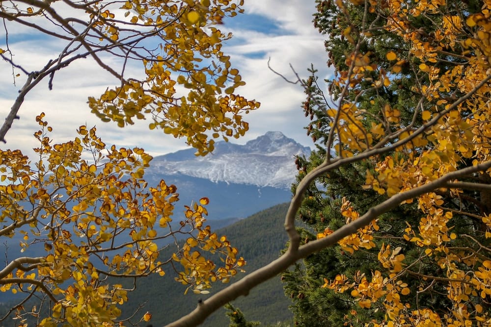 Yellow leaves framing the mountains in Estes Park Colorado - one of the best places to visit in the USA in September