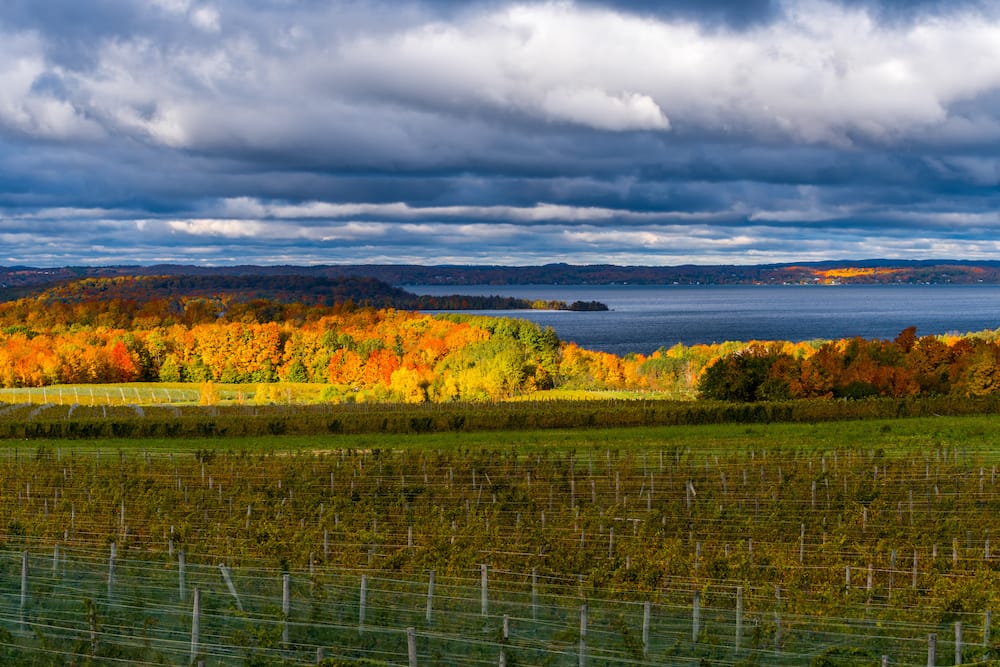 A view of one of the wineries in Traverse City, Michigan, on the lake during the fall season, with vibrant orange, yellow, and red trees in the background against the blue lake.